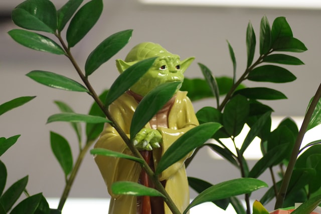 Yoda in the bushes